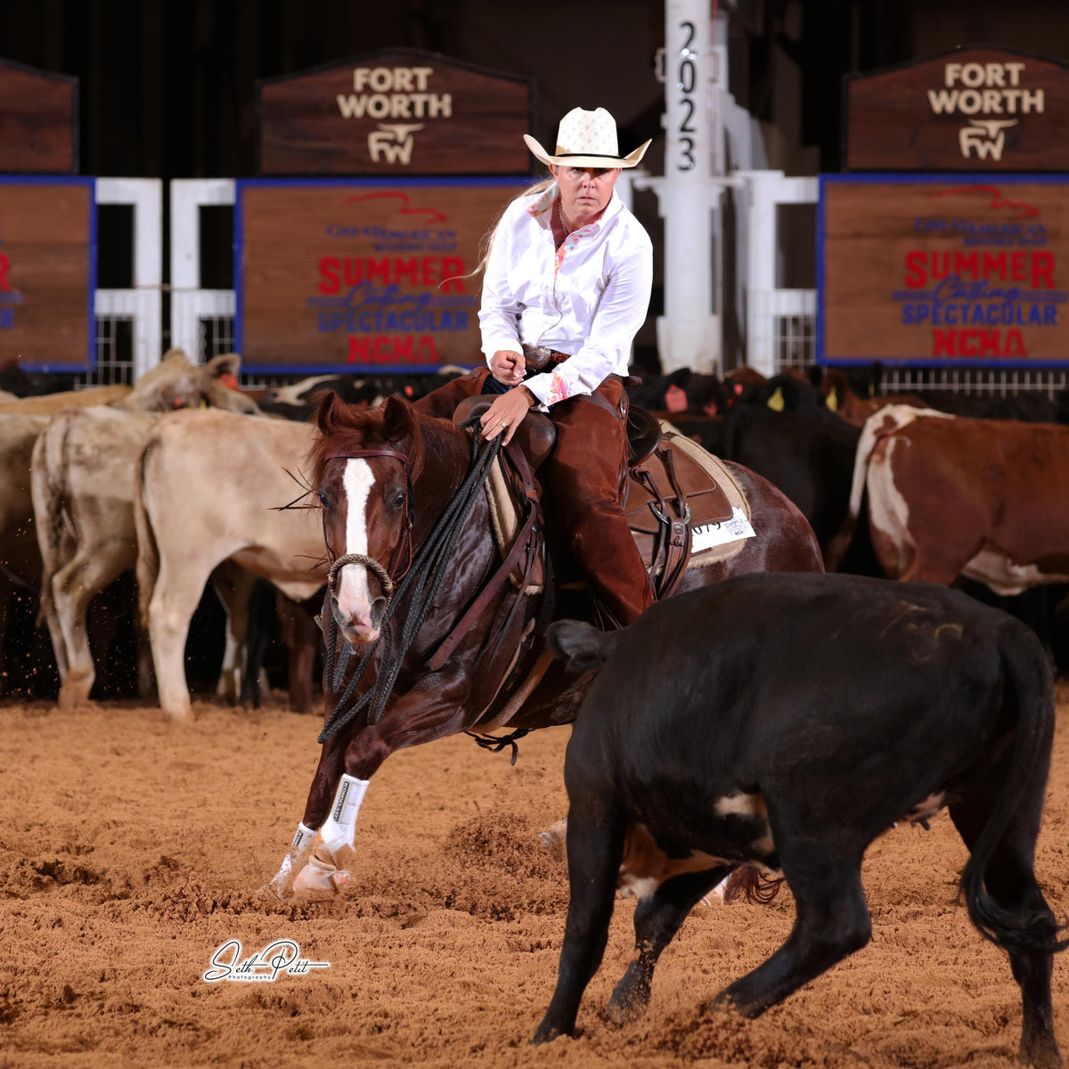A cowgirl in a white shirt and hat rides a brown horse in a cutting arena, chasing a black steer, with cattle and arena signage visible in the background.