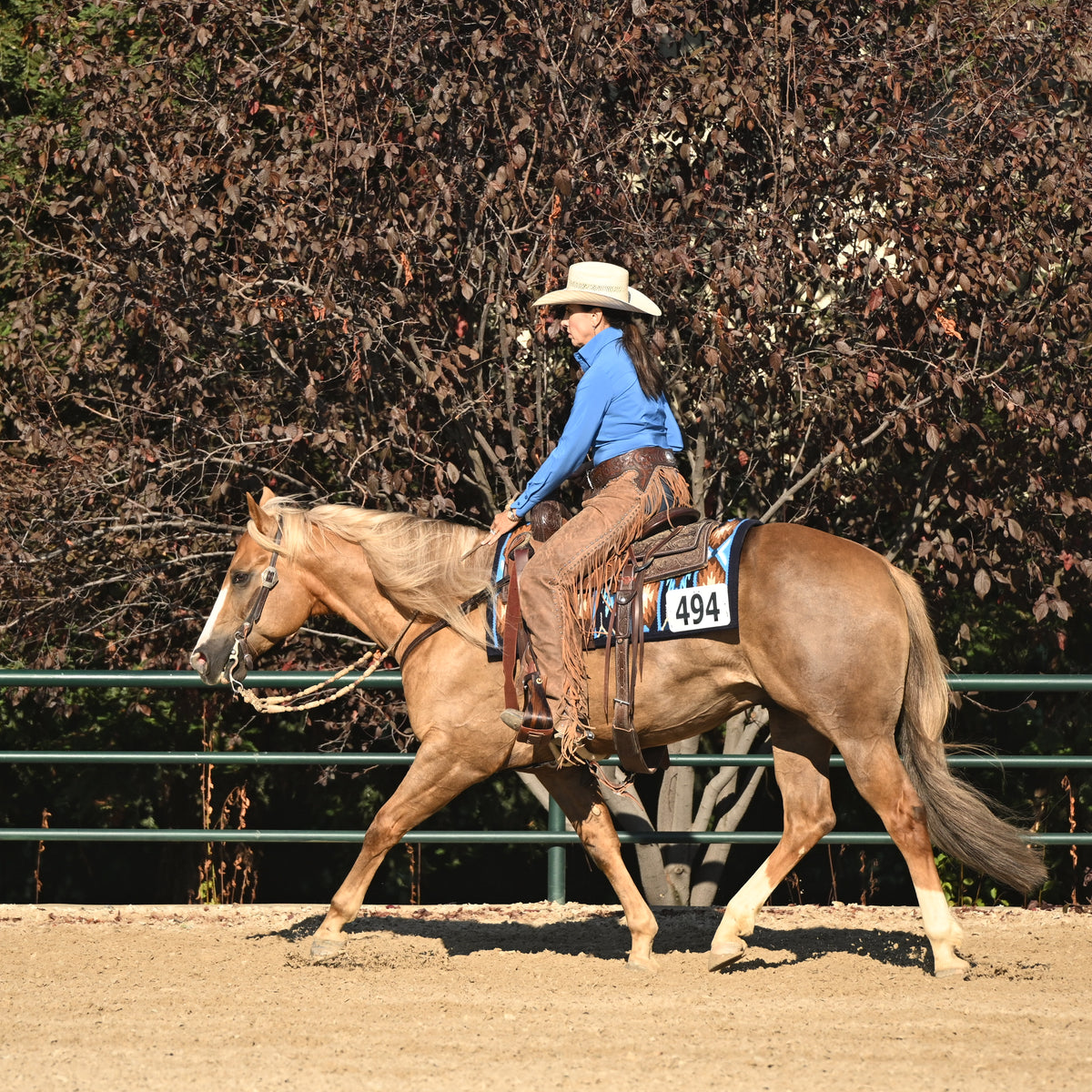 A person riding a palomino horse in an outdoor arena, with trees and a green fence in the background. The rider is wearing a cowboy hat, blue long-sleeve shirt, and brown pants, and the horse has a number 494 on its saddle blanket.