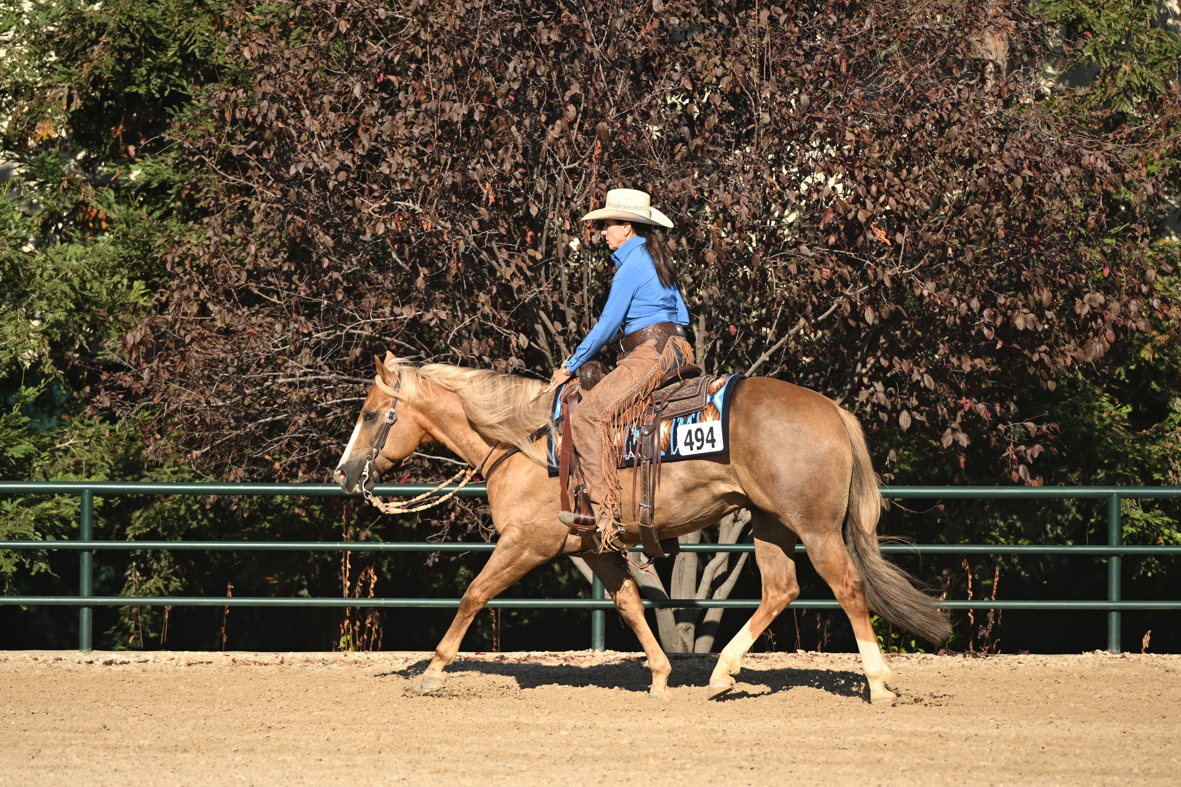 A person riding a palomino horse in an outdoor arena, with trees and a green fence in the background. The rider is wearing a cowboy hat, blue long-sleeve shirt, and brown pants, and the horse has a number 494 on its saddle blanket.